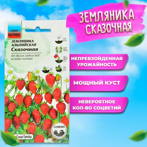 ���������� ��������� ������ ��������� - ����������, ����� �������