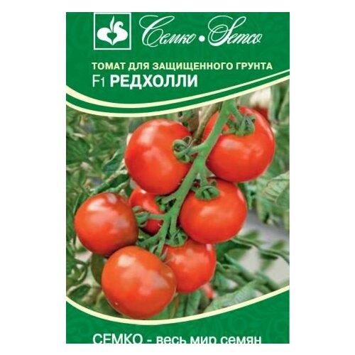 ���������� ������ ����� �������� F1 5�� ����� ������ (�����)