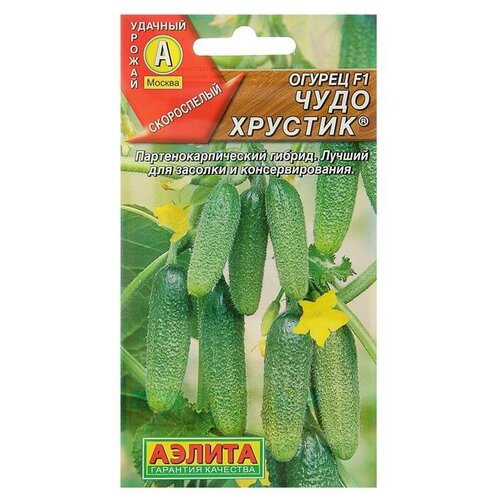 ���������� ������ ������ 