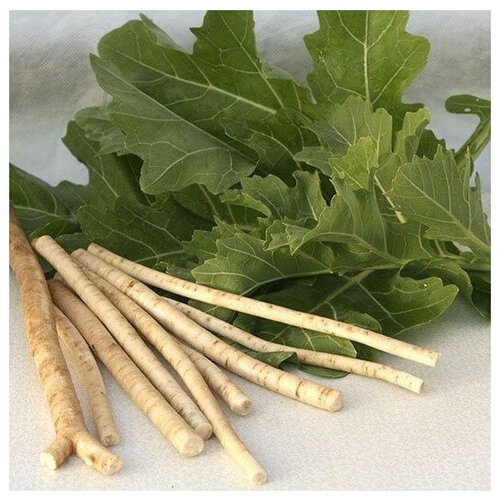 ���������� ������ ������ ������ ������ (���� ���������) 15 ��.