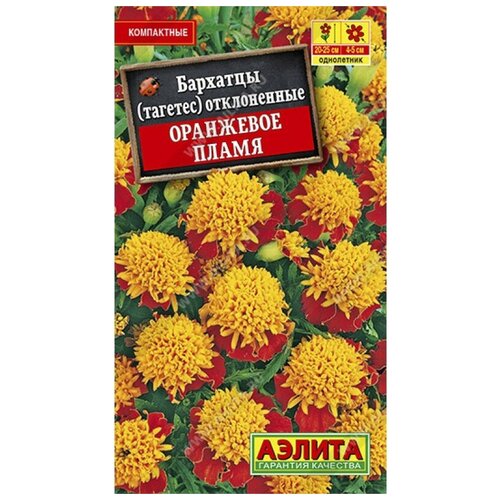 ���������� ������. �������� 