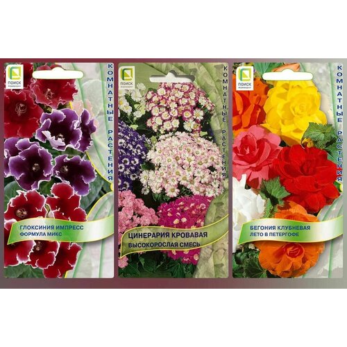 ���������� ������ ����������� ������ ��������� �������, ���������, ���������. ����� 3 ��������