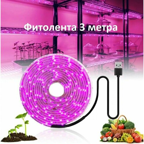 ���������� ��������� ��� ������� � �������� ������������ 3 �����