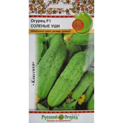 ���������� ������ ������ ������� ��� F1 10�� �� (������� ������)