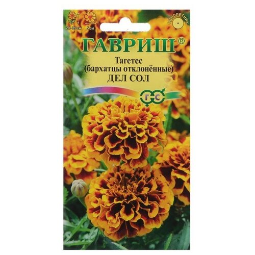 ���������� ������ ������ 