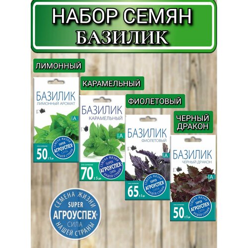 ���������� ������ ������ ��������� �������: �����������, ����������, ������ ������, �������� ������