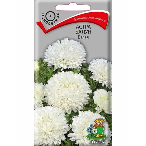 ���������� ����� 