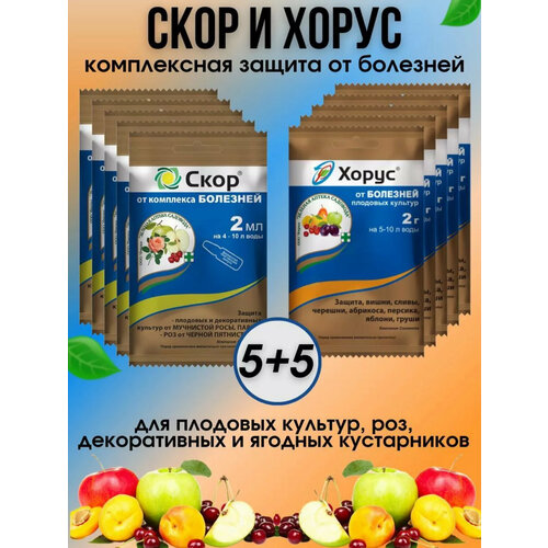 ���������� ����� ������� ��� ������ �������� ����� � ���� 10 ��