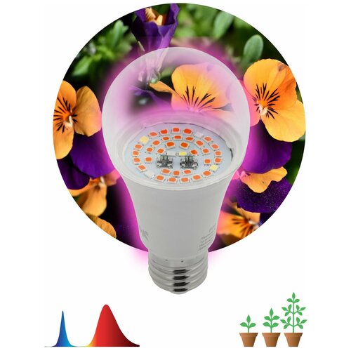 ���������� ��������� ��� �������� ������������ ��� FITO-12W-RB-E27 ������-������ ������� 12 �� �27, 1��