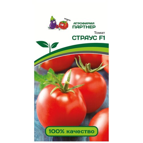 ���������� ������ ������ 