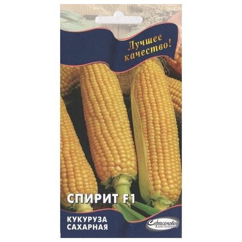 ���������� �������� �������� ������ F1, 8 �����