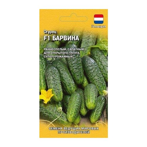 ���������� ������. ������ 