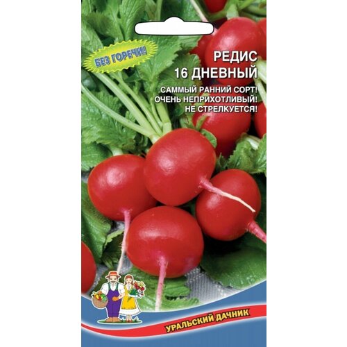 ���������� ������ ����� 16 ������� 2� ������ (��������� ������)