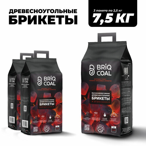 ���������� 3 �������� BriqPACK �� 2.5 �� - ����������������� ���������������� ������� BRIQCOAL