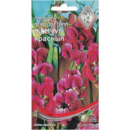 ���������� ������� ����������� �������� ������, �������, 9 �����