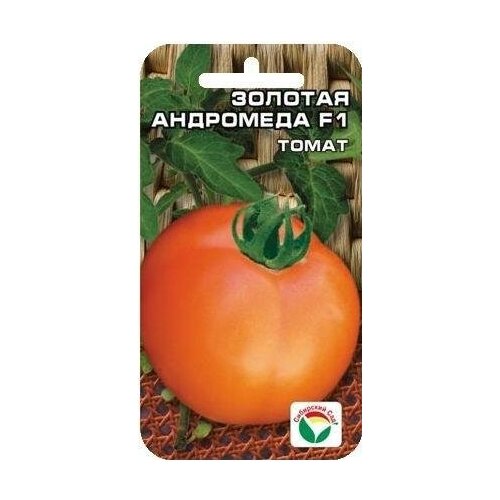 ���������� ������ ��������� ��� 