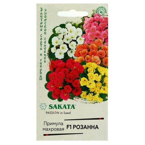 ���������� ������ ������ ������� 