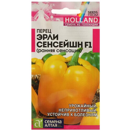 ���������� ������ ����� 