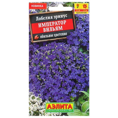 ���������� ������ ������ ������� 