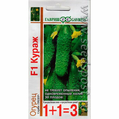 ���������� ������ ������ ����� F1 (1 ��-20 �����) ������ 1+1=3