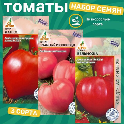 ���������� ����� ����� ����������� ������� / ��������� ������������� , ��������, �����