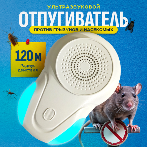 ���������� ������������ �����, �������, ����, ��������� ��������� ��������������