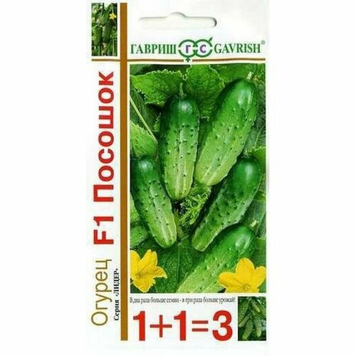 ���������� ������ ������ ������� F1 ��, �����������, (������) 20�� ���1+1