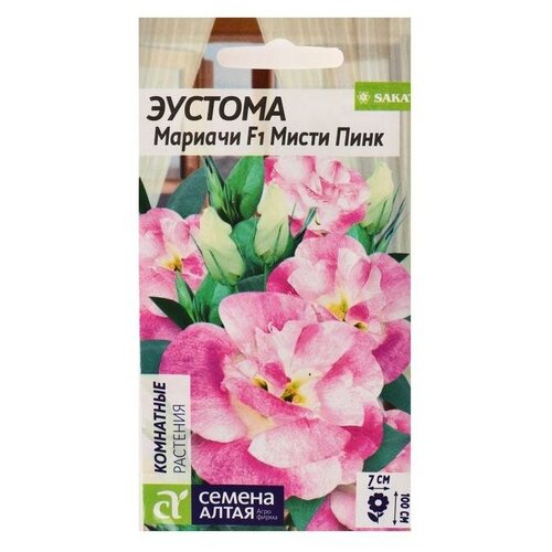 ���������� ������ ������ ������� 