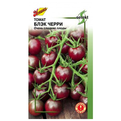 ���������� ����� ���� �����, 15 �����