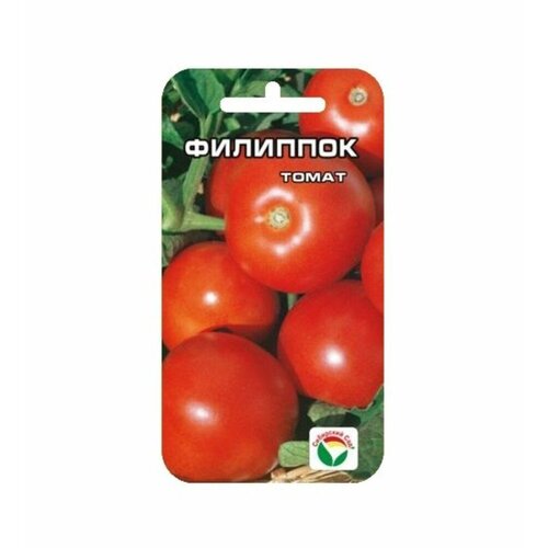 ���������� ������ ����� �������� 20�� ��� ������ (��������� ���)