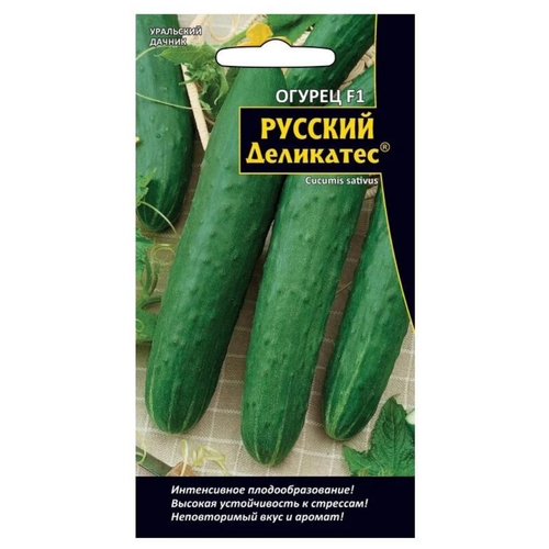 ���������� ������ ������ 