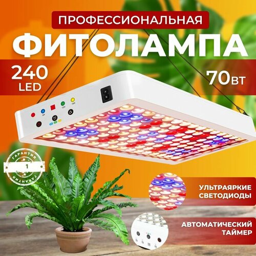     ,   quantum board,   ,     240 LED 70    , -, 