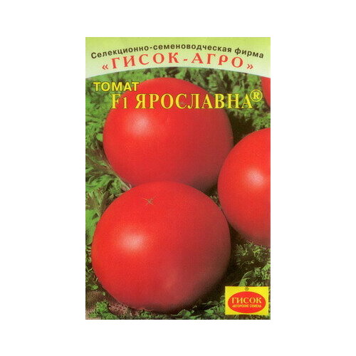 ���������� ������ ����� ��������� F1 ��� (�����)