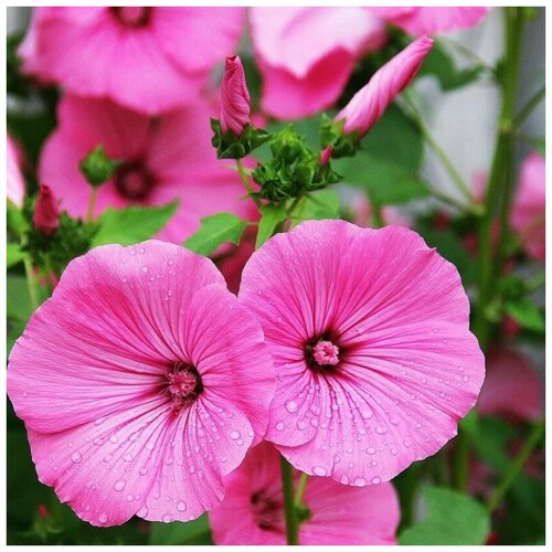 ���������� ������ ������ �������� ������������ 30 ��.