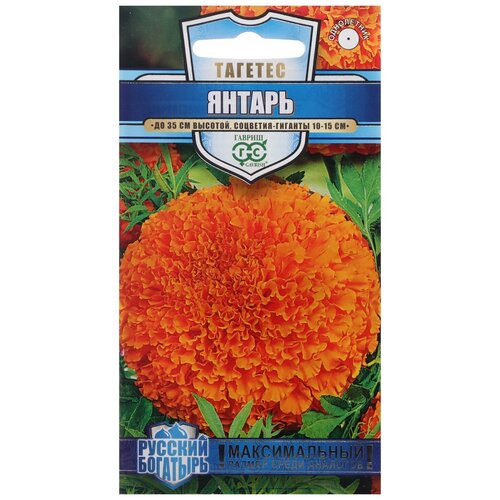 ���������� ������ ������ �������� ������ (�������) 