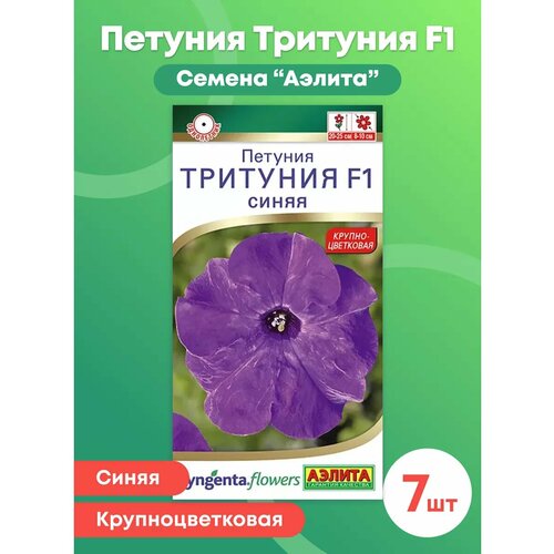 ���������� ������ ������� 