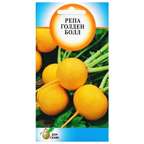 ���������� ���� ������ ����, 650 �����