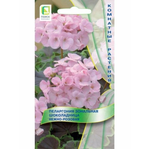 ���������� ���������� ��������� ����������� �����-�������, 5 ����� � ��������.