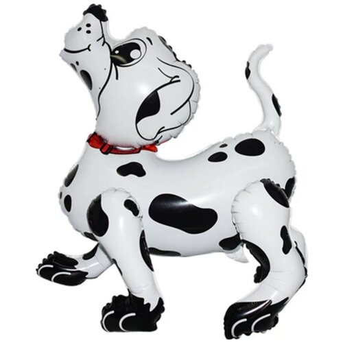 ���������� ��� (22''/56 ��) ������� ������, ������ ����������, 1 ��. � ����.