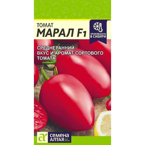 ���������� ������ ����� ����� F1 10�� ����� ������ (������ �����)