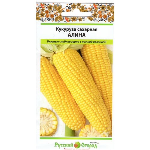 ���������� �������� �������� ����� 4� ����� (1 �����)