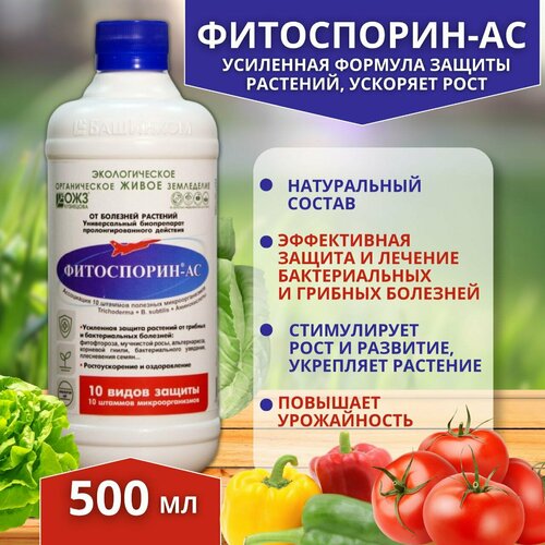 ���������� ���������� �� �� ������� �������� 500 ��