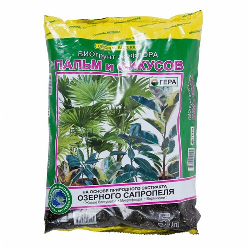 ���������� ����� 