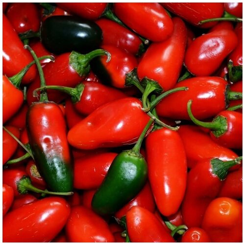 ���������� ������ ������ ����� ������ ��������� 10 ��.