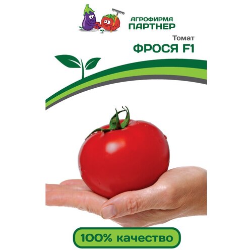 ���������� ������ ������ 