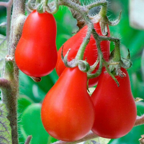 ���������� ����� ����� ������� 10 �� ��� ����������� ������