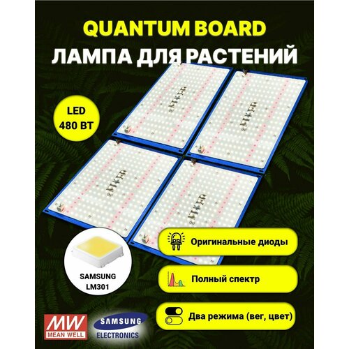   / quantum board c  Samsung LM-301,  480 , Mean Well, 5000,     , -, 