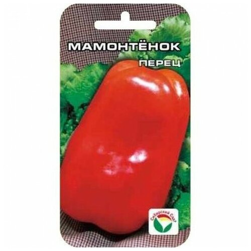 ���������� ����� ������� ���������� 15�� ��������� ���