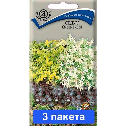 ���������� ������ ������ ����� 