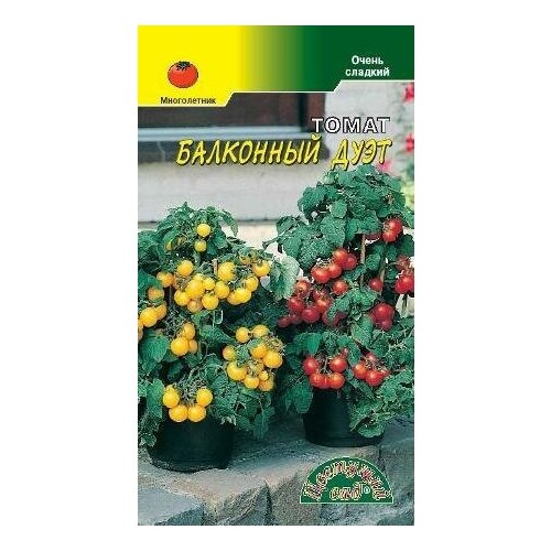 ���������� ������ �������� ��� 